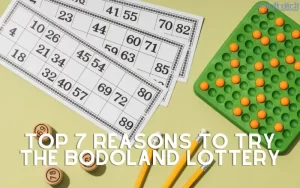 bodoland lottery