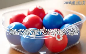 bodoland lottery today result